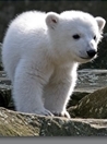 20110322-00.jpg