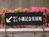 20110606-02.JPG