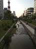 20120716-03.JPG