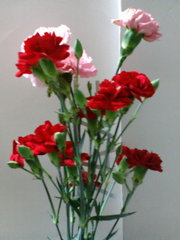 20070510-00.jpg