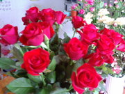 20080113-02.jpg