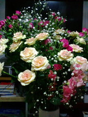 20080113-03.jpg