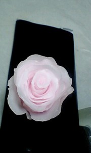 20080312-00.jpg