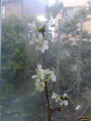 20080425-00.jpg