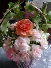 20080512-00.jpg