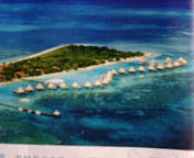 20081210-01.jpg