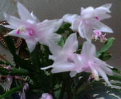 20081223-00.jpg
