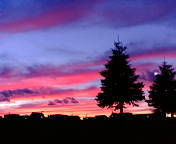 20091009-00.jpg