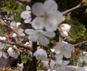20100518-00.jpg