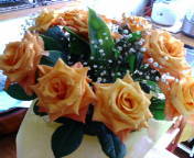 20101225-00.jpg
