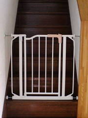 20101226-02.jpg