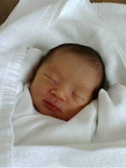 20110201-00.jpg
