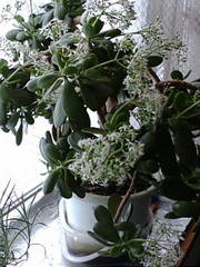 20120114-00.jpg