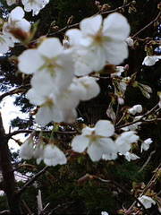 20120513-00.jpg