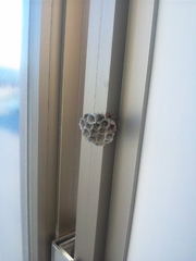 20120513-01.jpg