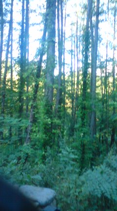 080914_1522~01.jpg