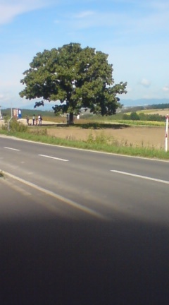 20080916-01.jpg