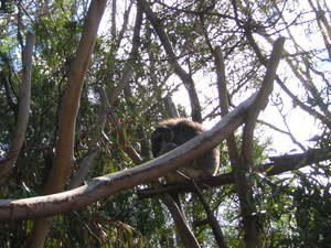 20081214-00.JPG