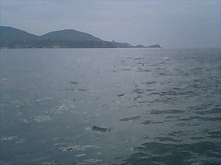 20090622-01.jpg