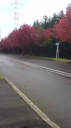 091024_0756~01.jpg