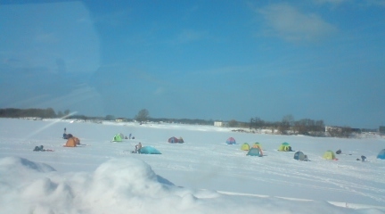 20100131-02.jpg
