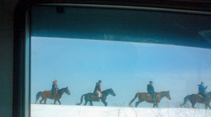 20100131-03.jpg