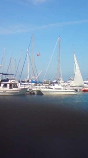 20100523-01.jpg