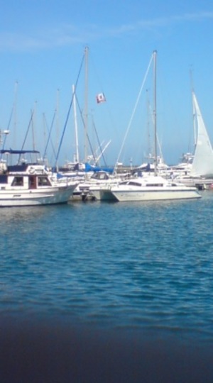 20100523-02.jpg