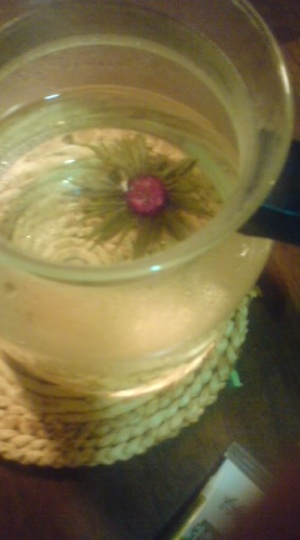 20100530-01.jpg