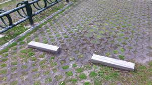 20120419-02.JPG