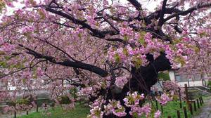 20120506-00.JPG
