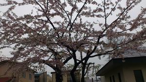20120509-04.JPG