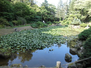 20120917-00.JPG