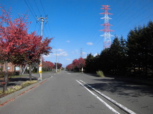 20121030-01.JPG
