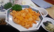 20090802-01.jpg