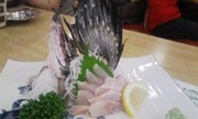 20090802-02.jpg