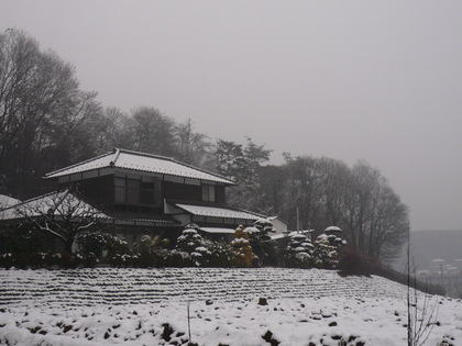 20080125-00.JPG
