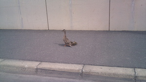 20100623-00.jpg