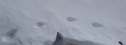1612324969-20210203_130018.jpg
