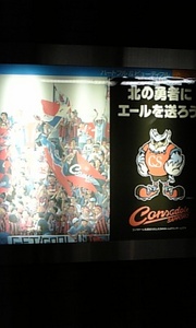 20090419-03.jpg