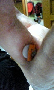 20090421-01.jpg