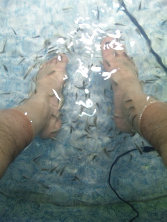 120117_194827.jpg
