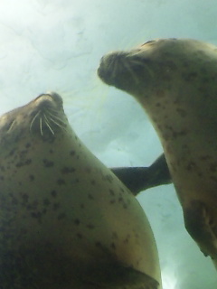 120118_121726.jpg