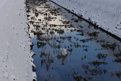 1544690641-_20181213_173756.JPG