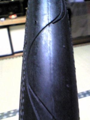 20070404-01.JPG