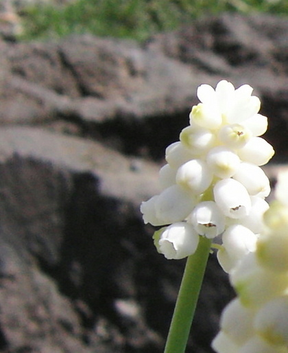 20070505-02.jpg