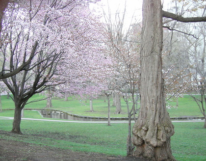 20070507-00.jpg