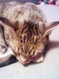 070410_2033~001.jpg