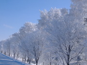 20051208-00.JPG