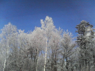 200901090918000.jpg